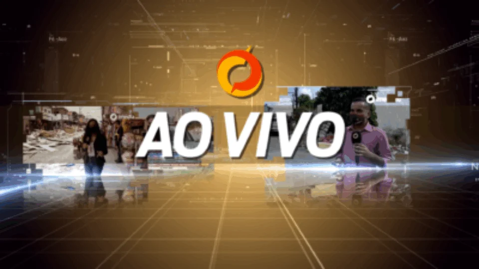 PET DAY | O dia onde cães e gatos podem ganhar um lar