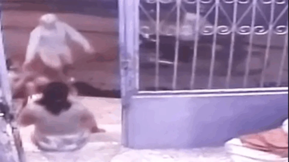 Vídeo mostra o momento em que criminosos atacam mulheres na Zona Leste