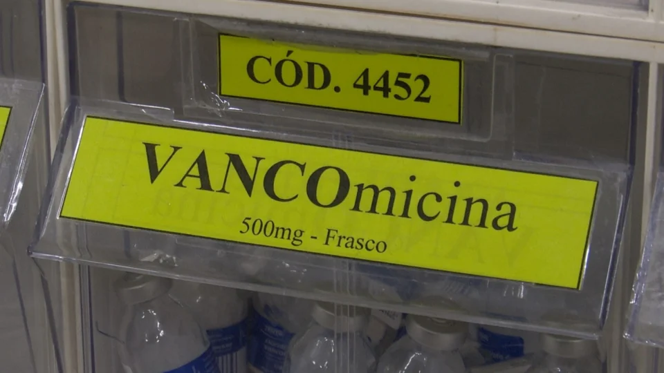 Francisca Mendes reativa protocolo que torna mais eficiente terapia com antibiótico Vancomicina