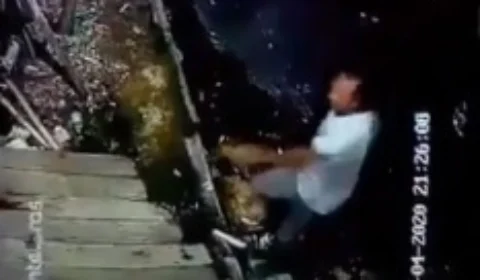 VEJA VÍDEO – Cachorro avança em homem e impede sequestro de criança em Manaus