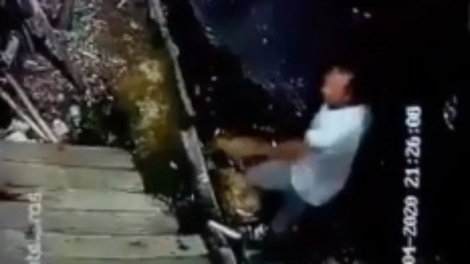 VEJA VÍDEO – Cachorro avança em homem e impede sequestro de criança em Manaus