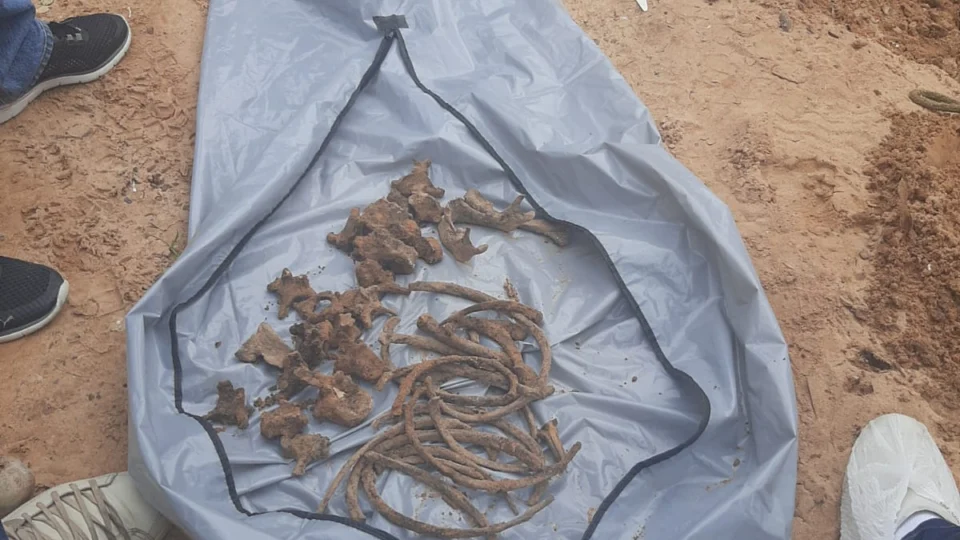 Ossada humana é encontrada no Porto da Manaus Moderna; Confira imagens!