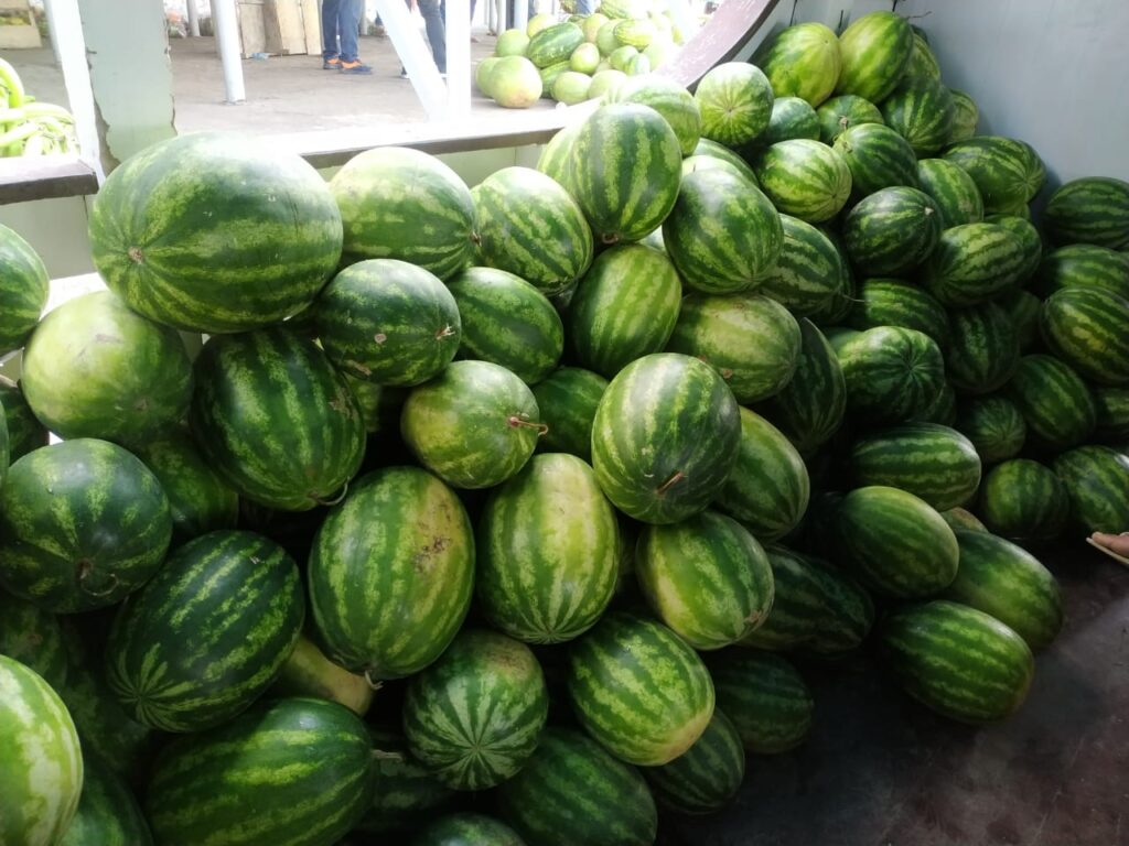 Aquisição de alimentos 
Fotos: Divulgação/Sepror