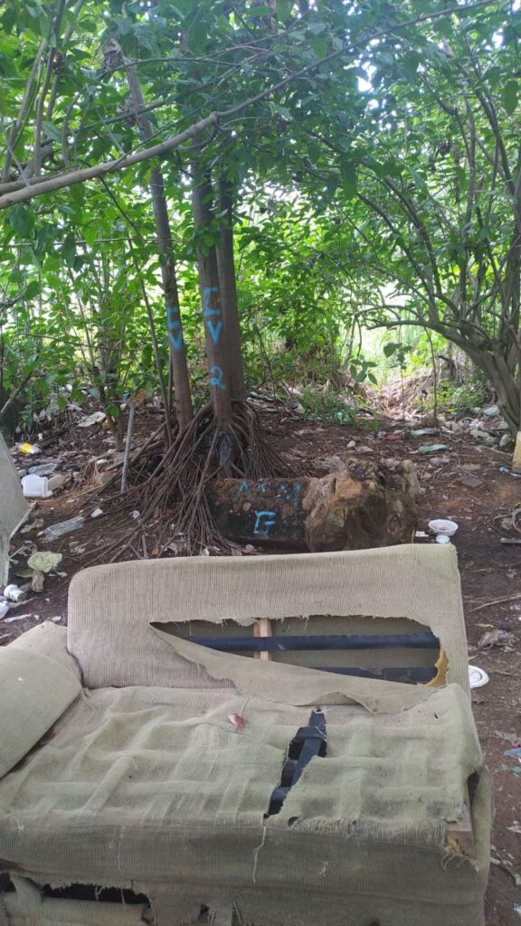 Cipcães faz busca por corpo de jovem desaparecido