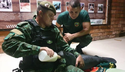 VIDEO! Filhote de peixe-boi é resgatado em Manacapuru