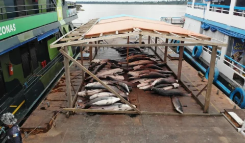 Base Arpão apreende cinco toneladas de pirarucu ilegal em Coari