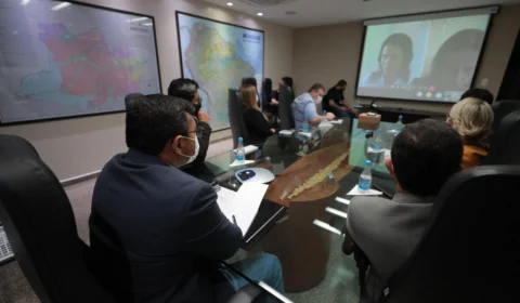 Governo do Amazonas alinha ações para combater trabalho infantil na cadeia produtiva da castanha