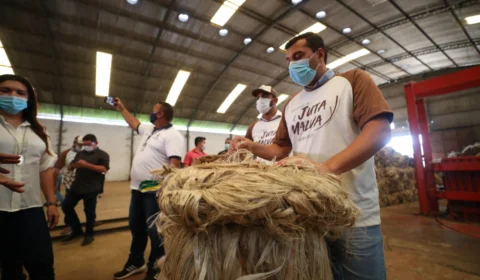 Em Manacapuru, Wilson Lima visita fábrica de juta e malva que terá produção valorizada com pagamento da subvenção