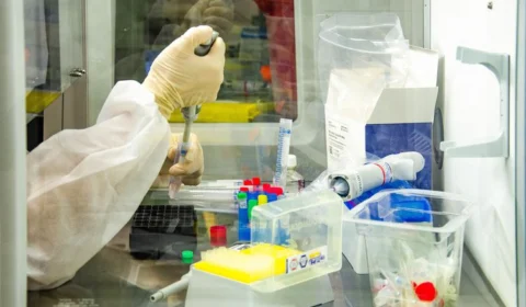 Aumento de casos e óbitos de covid-19 deve servir de alerta para reforçar sistema de saúde