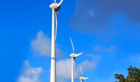 MEC quer ampliar oferta de cursos na área de energia renovável