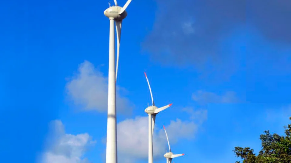 MEC quer ampliar oferta de cursos na área de energia renovável