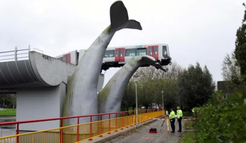 Metrô desgovernado é salvo por escultura de cauda de baleia. Veja vídeo!