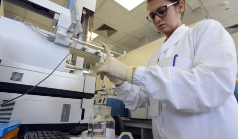 Após confirmar caso de Candida auris Anvisa publica alerta de risco