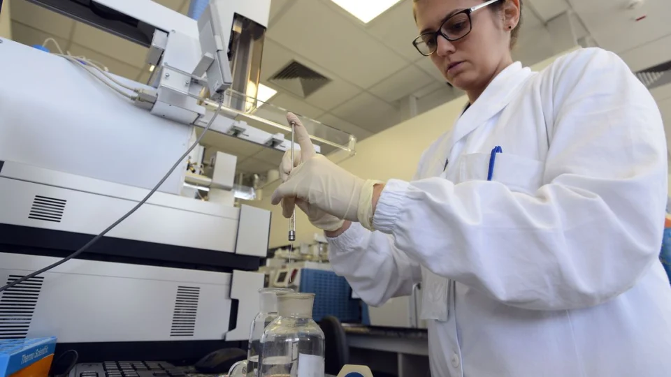 Após confirmar caso de Candida auris Anvisa publica alerta de risco