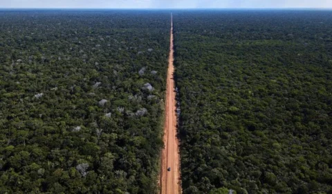 Ministério assina a repavimentação do 1º trecho da BR-319/AM que liga Manaus (AM) a Porto Velho (RO)