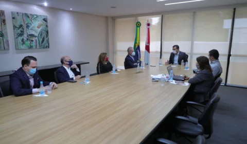 Em reunião com o TCE, governador garante que o Estado se prepara para vacinação contra Covid-19