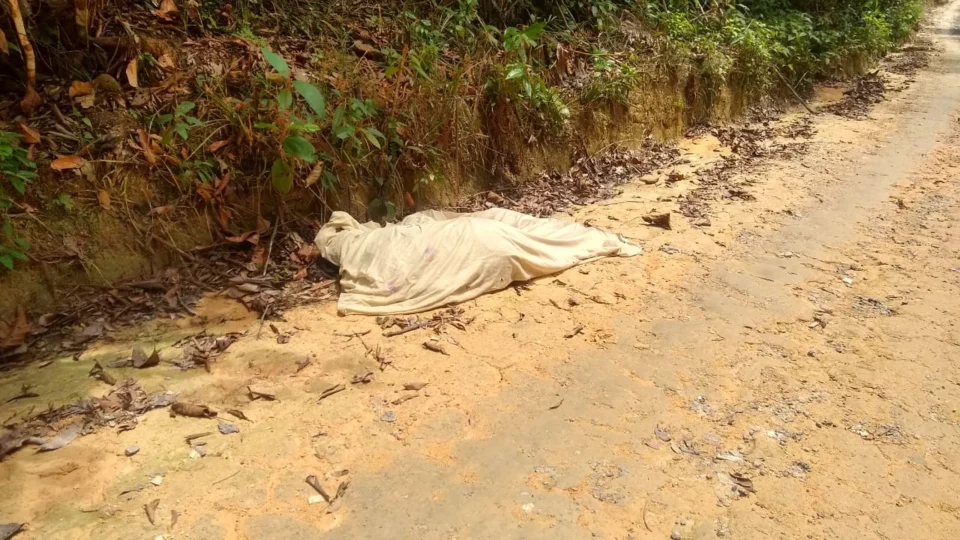 Homem é morto a tiros ao retornar de festa no AM-010