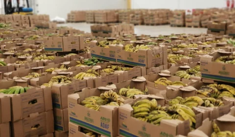 Campanha “Natal pra Todos Nós” da ADS vai doar 20 mil cestas natalinas a pessoas em situação de vulnerabilidade