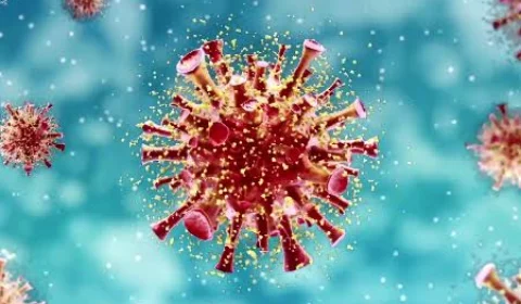 Mortes por Covid-19, no AM, chegam a 5.190