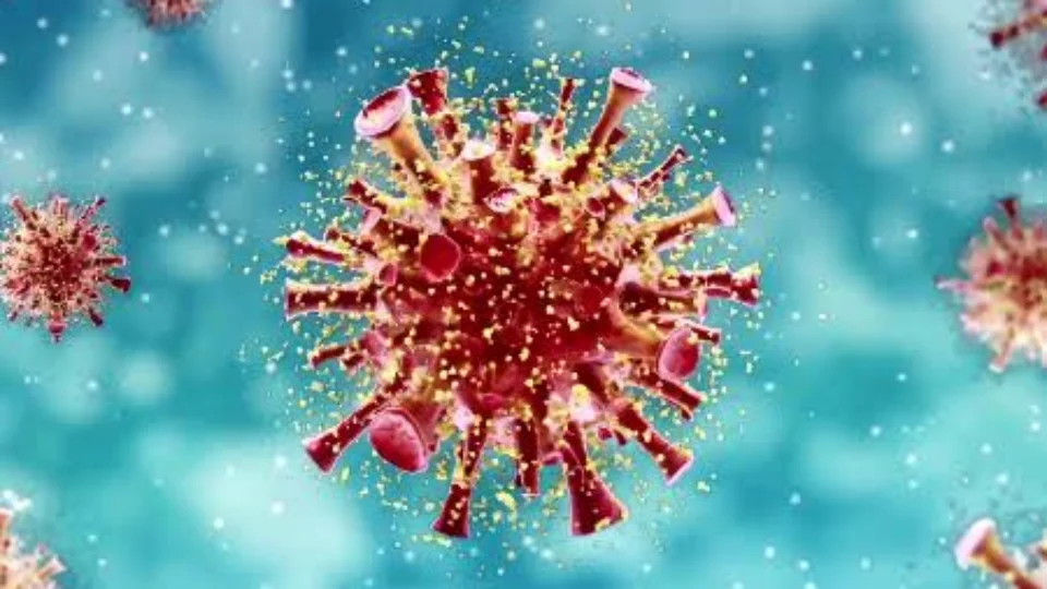 Mortes por Covid-19, no AM, chegam a 5.190