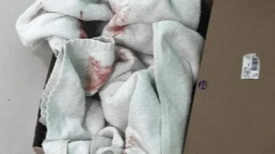 Mãe confessa ter abandonado bebê dentro da lixeira em uma caixa de sapato