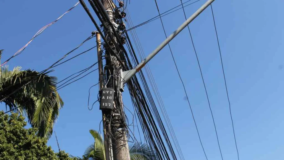 Homem morre eletrocutado após subir em árvore para tentar salvar pássaro
