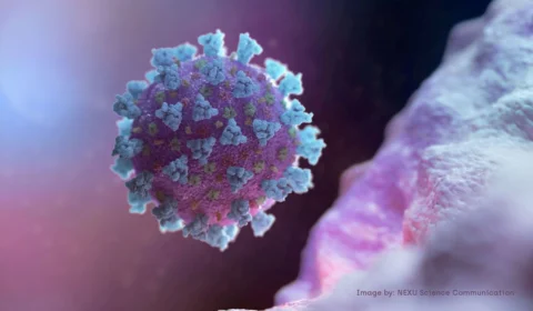 Boletim diário de Covid-19 da FVS-AM registra 60 óbitos em decorrência do vírus