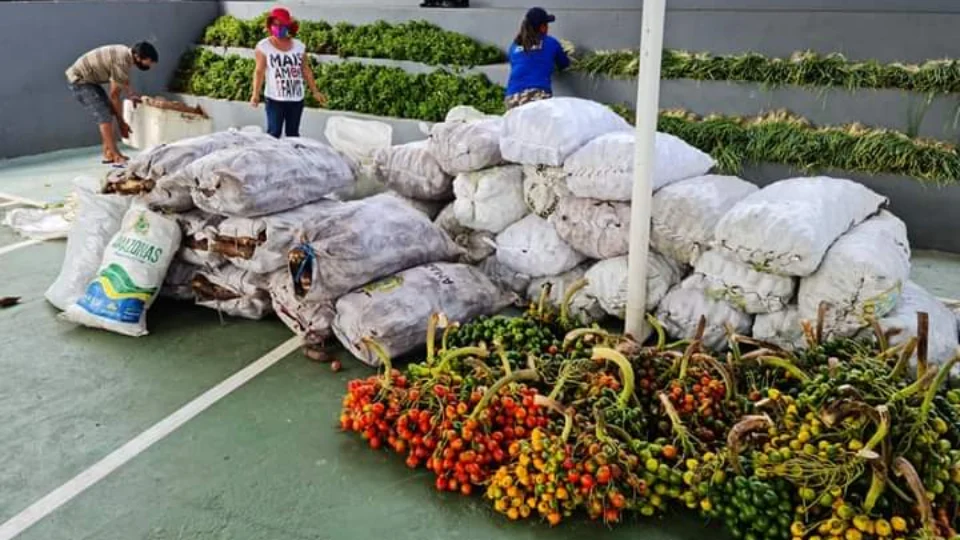 Idam e produtores familiares entregam 16 toneladas de alimentos ao PAA/Conab em Careiro da Várzea