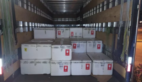 Central de Medicamentos do Amazonas recebe 92,9 mil medicamentos para intubação