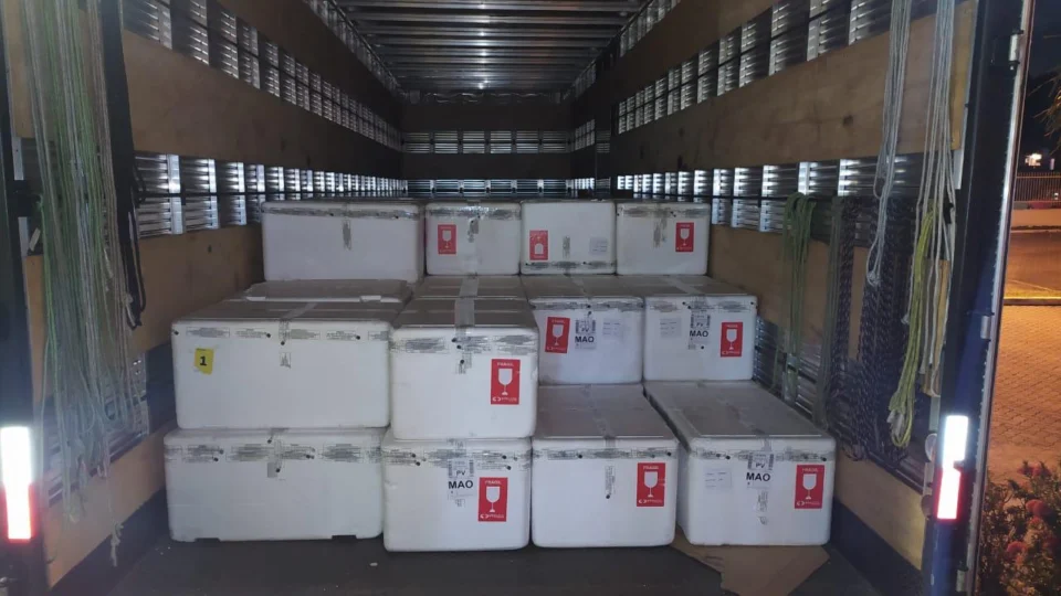 Central de Medicamentos do Amazonas recebe 92,9 mil medicamentos para intubação