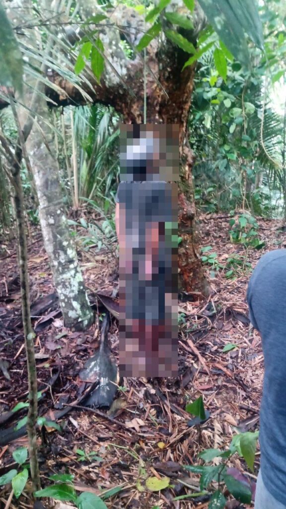 Corpo é encontrado pendurado em árvore pela cabeça e com mãos amarradas, na AM-010