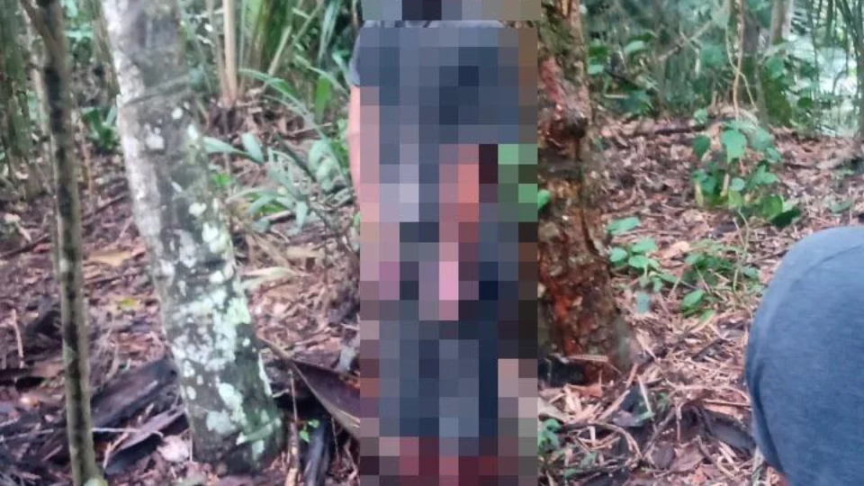 Corpo é encontrado pendurado em árvore pela cabeça e com mãos amarradas, na AM-010