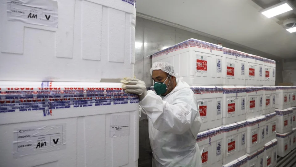 Confira como foram distribuídas as 282 mil doses de vacinas recebidas pelo estado do Amazonas