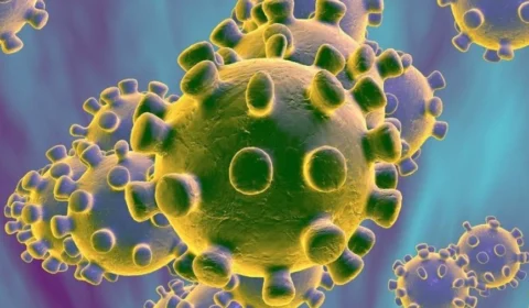 FVS traz registro de 489 novos casos de Covid-19 no AM; Veja o cenário atual