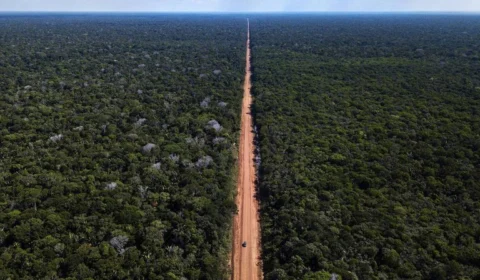 Pavimentação da BR-319 inicia no 2º semestre, diz ministro da Infraestrutura em reunião com Wilson Lima