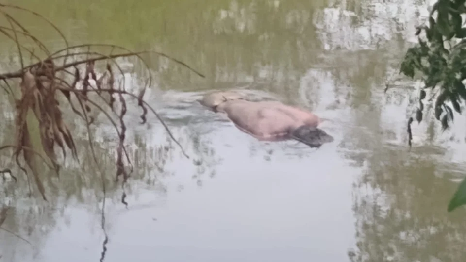 Veja vídeo do corpo do homem que assassinado e jogado em igarapé de Manaus