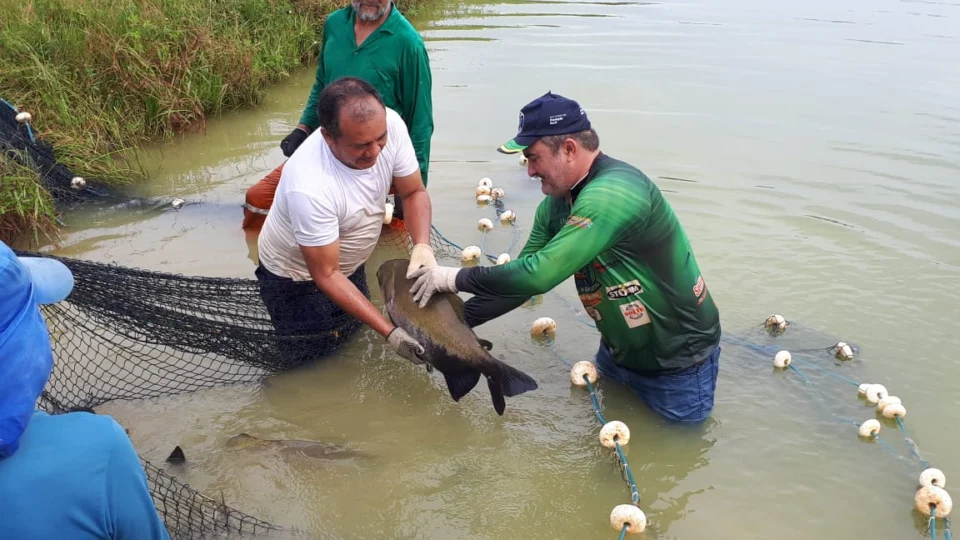 Sepror lança podcasts de cursos para produtores rurais