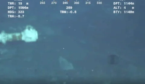 Em vídeo, criatura marinha se  despedaça e chama a atenção de internautas