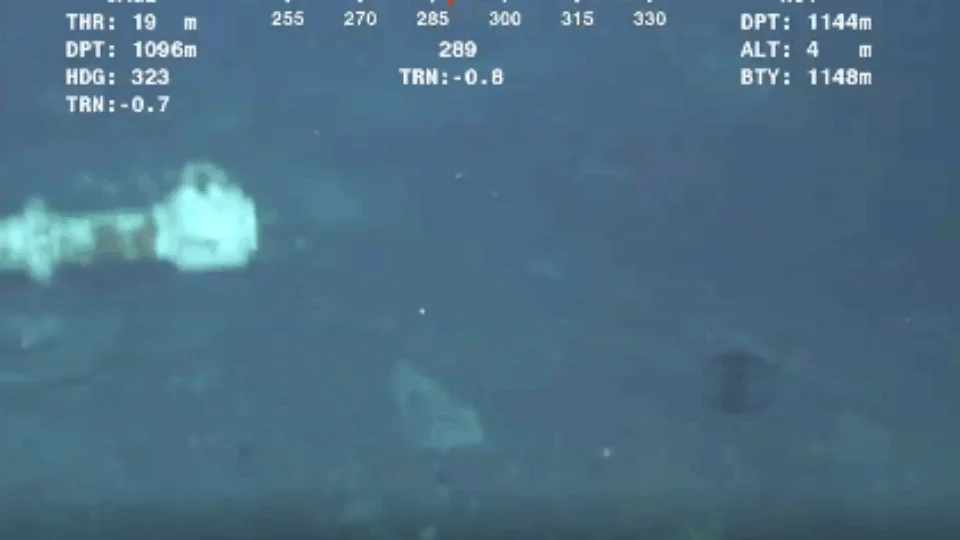 Em vídeo, criatura marinha se  despedaça e chama a atenção de internautas