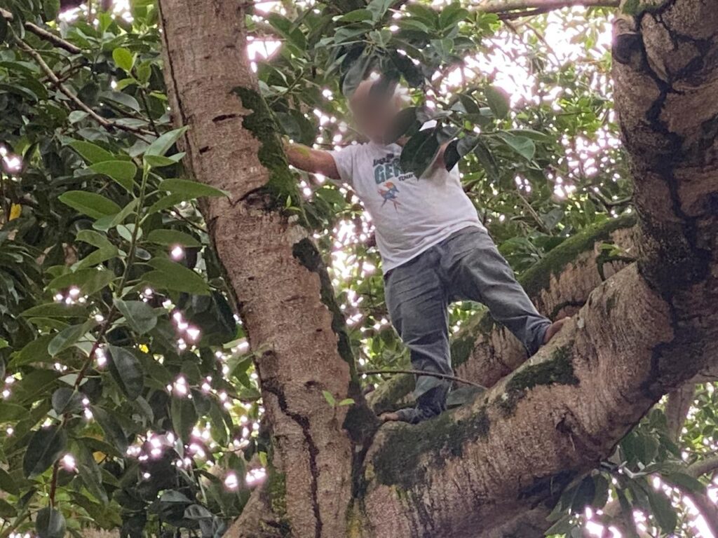 Sem dinheiro para o aluguel, homem ameaça se matar a 15 metros de altura “não aguento mais a fome”