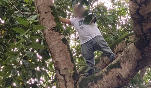 Sem dinheiro para o aluguel, homem ameaça se matar a 15 metros de altura “não aguento mais a fome”