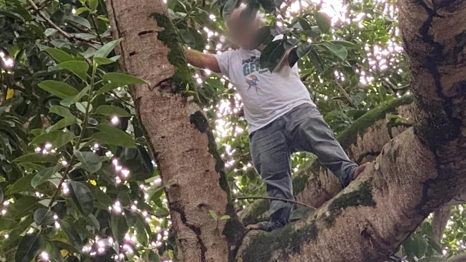 Sem dinheiro para o aluguel, homem ameaça se matar a 15 metros de altura “não aguento mais a fome”