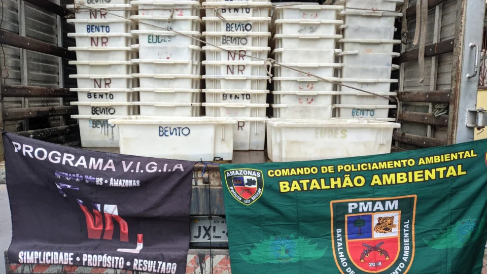 Peixes Ornamentais de Barcelos são apreendidos pelo Batalhão Ambiental