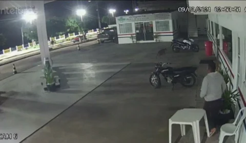 VEJA VÍDEO – Veado morre após bater em vidro de posto de combustíveis