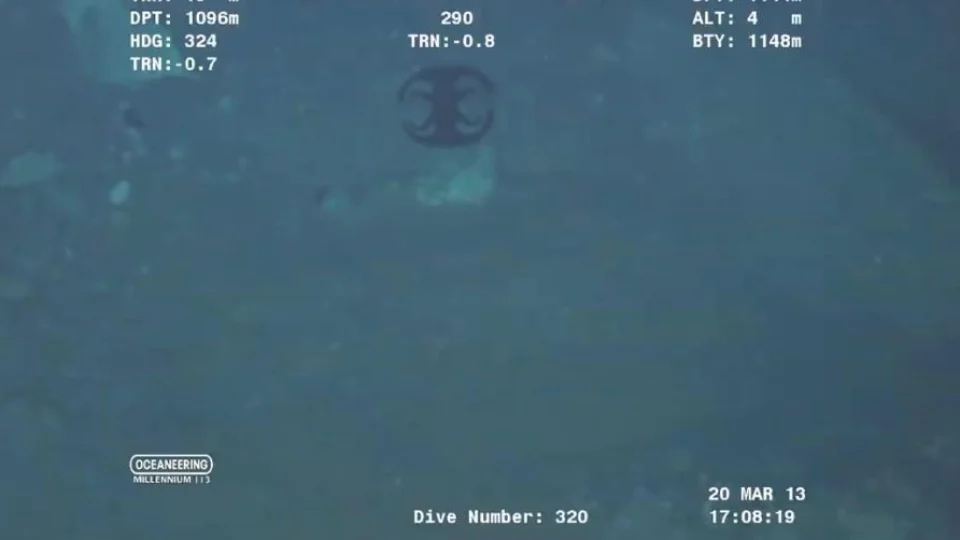 Veja vídeo: Criatura marinha se  despedaça e chama a atenção dos internautas