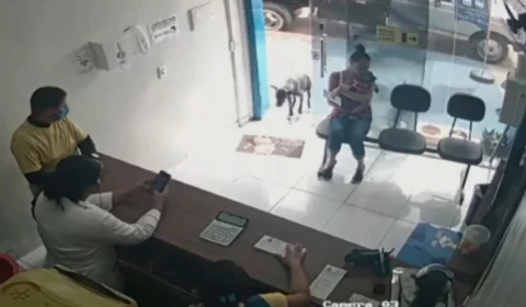 Veja vídeo:  Cão ferido entra sozinho em clínica veterinária e é diagnosticado com câncer