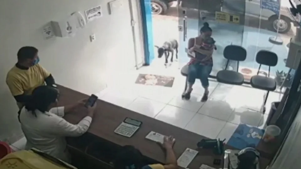 Veja vídeo:  Cão ferido entra sozinho em clínica veterinária e é diagnosticado com câncer