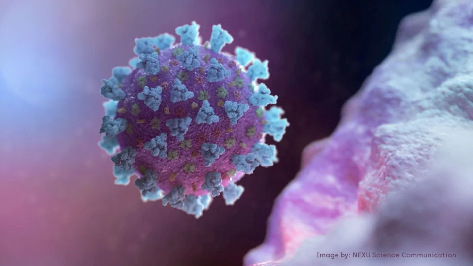 Covid-19: no Amazonas, 337 novos casos e 5 mortes foram registrados em 24 horas