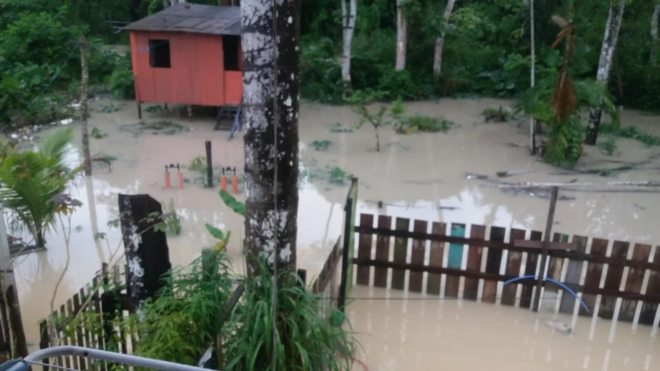 Poluição e descaso tomam conta de Comunidade no bairro de Flores; Veja detalhes