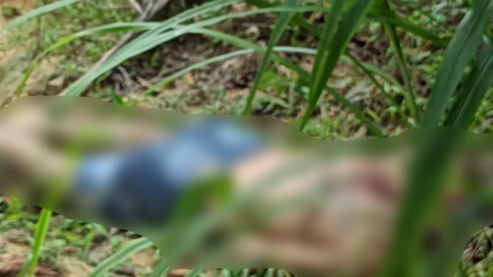 Com filho de 2 anos no colo, homem é sequestrado de dentro da própria casa – Ele foi encontrado morto neste sábado (3)